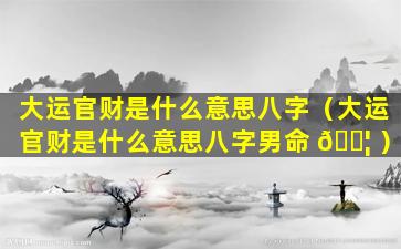 大运官财是什么意思八字（大运官财是什么意思八字男命 🐦 ）